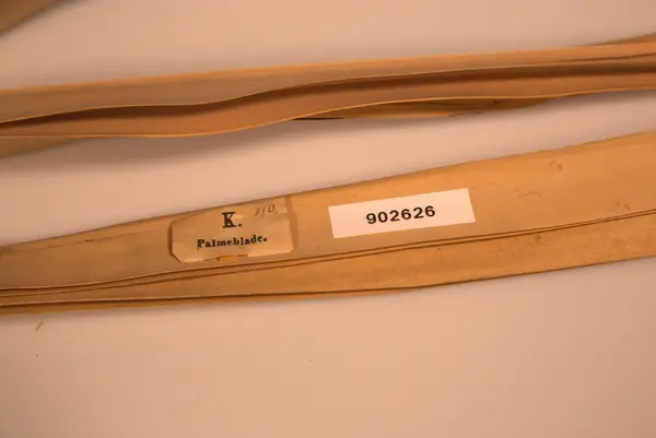 Malebarisk manuskrift, skrevet på 5 palmeblader