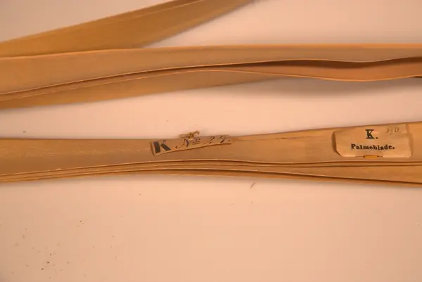 Malebarisk manuskrift, skrevet på 5 palmeblader