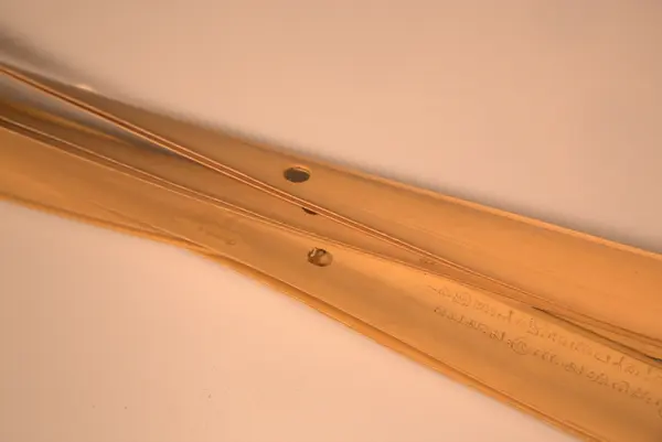 Malebarisk manuskrift, skrevet på 5 palmeblader