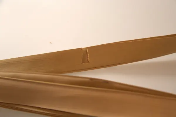 Malebarisk manuskrift, skrevet på 5 palmeblader