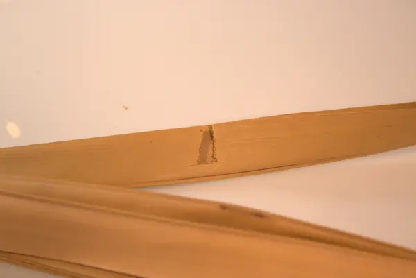 Malebarisk manuskrift, skrevet på 5 palmeblader