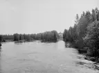 Genom lummig grönska skymtar slottet i Bjärka Säby. Här från en sällan använd vy norr om godset där Stångån faller ut ur i sjön Stora Rängen.