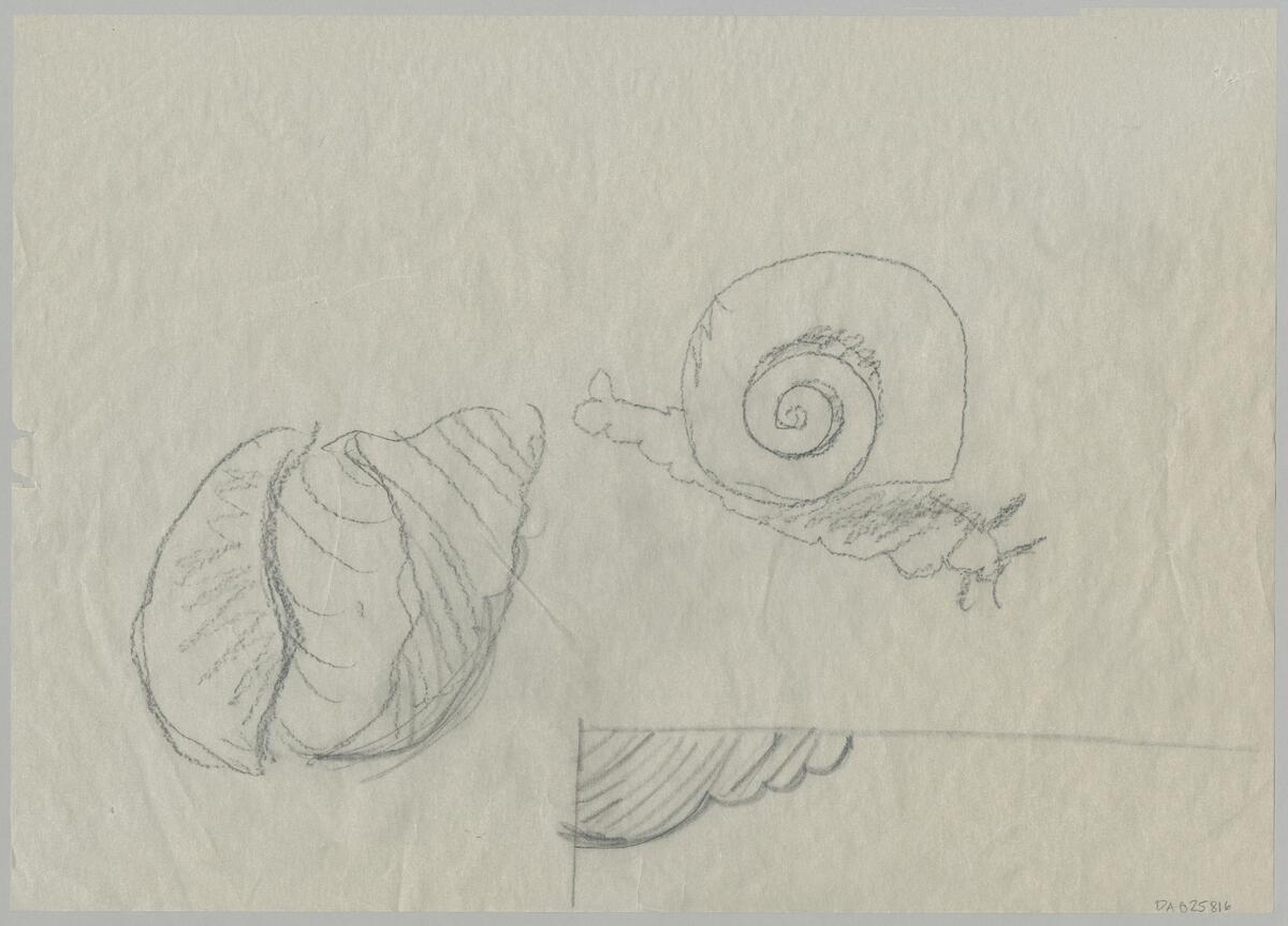 Skissdetalj till vävnad eller broderi. Skissen visar en snigel och en snäcka.