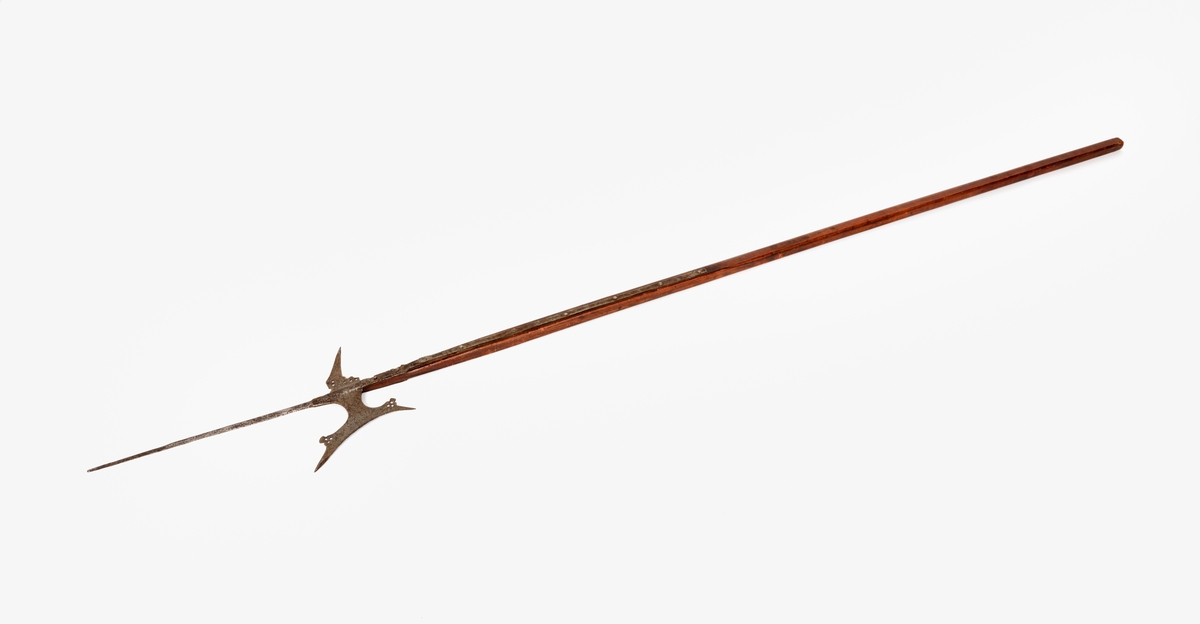 Hillebard, lång fyrsidig spets, smäcker yxa med konkav egg och perforerade flikar. Nacken utdragen i skarp spets. Holk förlängd med smala skenor, skarvade, kraftigt korroderad. Sekundärt, brunmålat träskaft. 

Längd: 2560 mm.