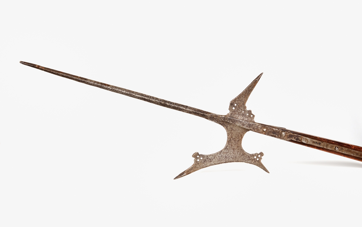 Hillebard, lång fyrsidig spets, smäcker yxa med konkav egg och perforerade flikar. Nacken utdragen i skarp spets. Holk förlängd med smala skenor, skarvade, kraftigt korroderad. Sekundärt, brunmålat träskaft. 

Längd: 2560 mm.