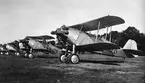 Jaktflygplan J 6A Jakftfalken uppställda på flygfältet på F 3 Malmen omkring 1932-1933. Fem flygplan på linje. Nummer 3209, 3250, 3219, 3221.