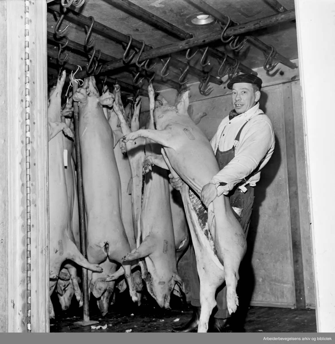 Danskene sikrer oss juleflesket, 1962. John Eriksen bærer en skrott i Oslo Kjøtthall.