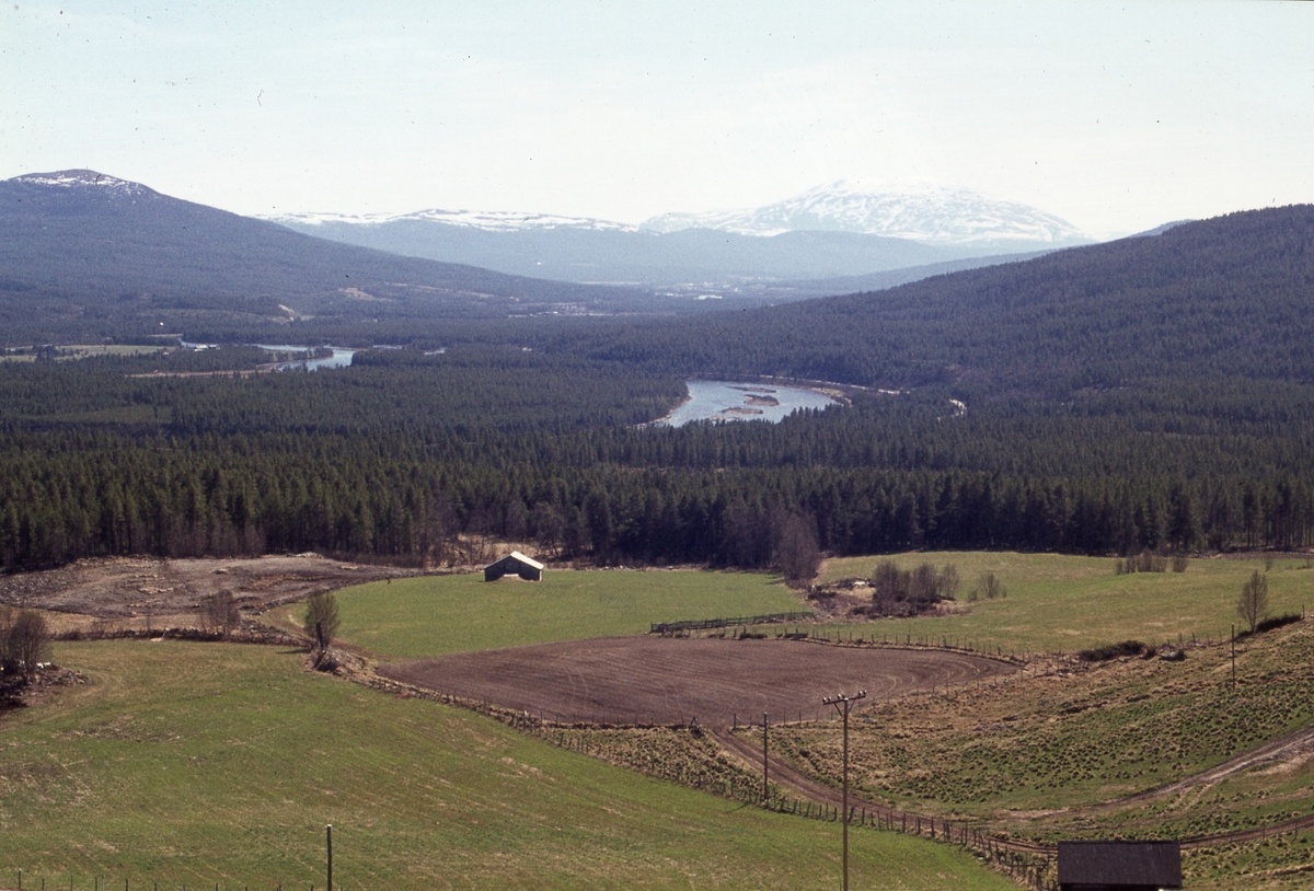 Utsikt fra Vingelsåsen