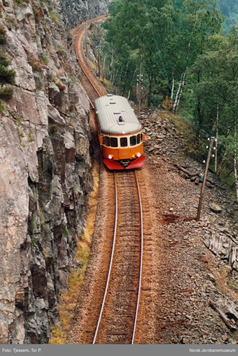 Dieselmotorvogn BM 89 01 med persontog 764 fra Sira til Flekkefjord nær Lavoll holdeplass på Flekkefjordbanen