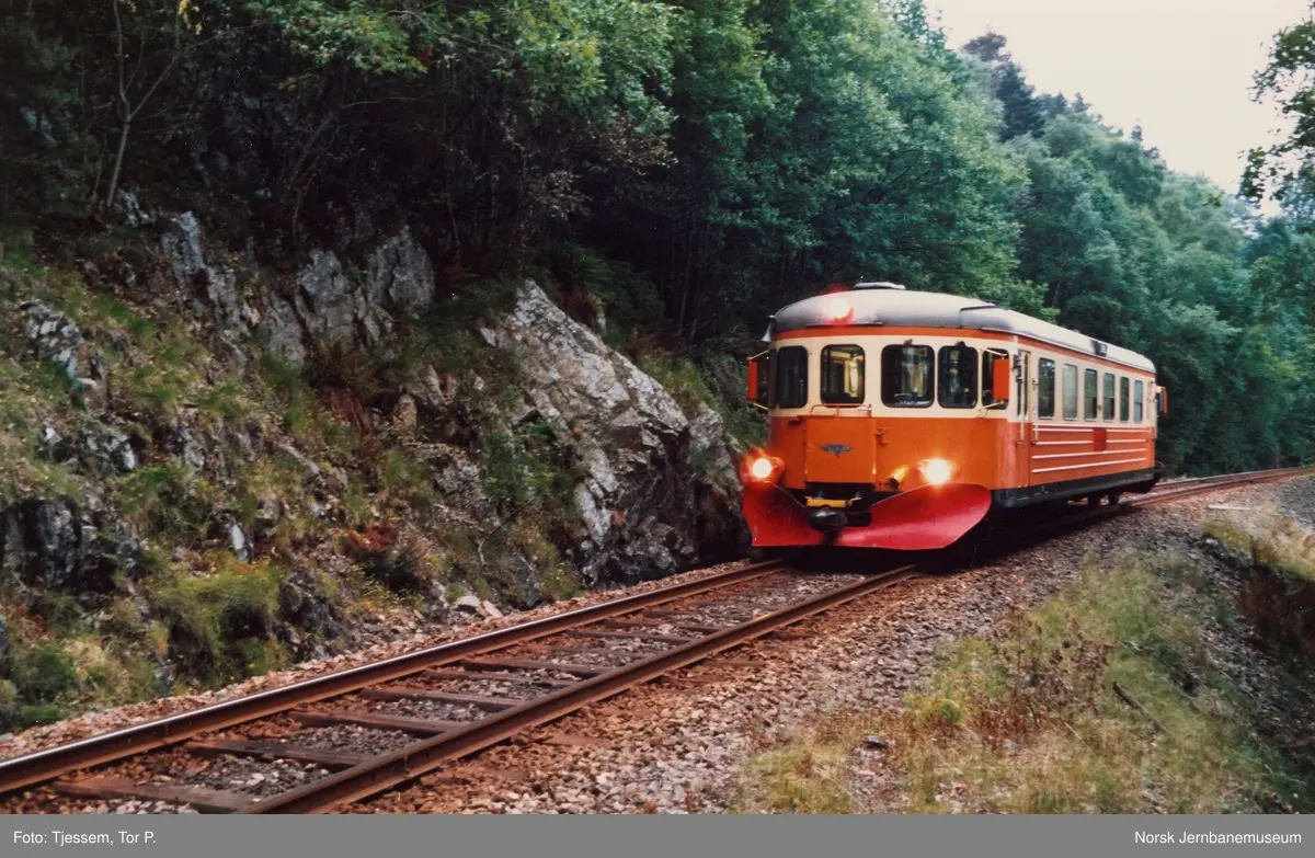 Dieselmotorvogn BM 89 01 med persontog 765 fra Flekkefjord til Sira mellom Flikkeid og Regevik holdeplasser på Flekkefjordbanen