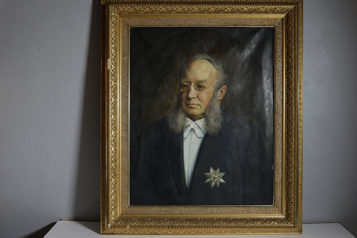 Maleriet er av poltiker og embetsmann Jacob Stang, fra midjen og opp. Bakgrunnen er mørk, men litt lysere rundt Stang. Han har på seg briller, svart dress, hvit skjorte og hvit sløyfe. På dressens høyre side har han festet det som ser ut som hans Storkors av St. Olavsorden.