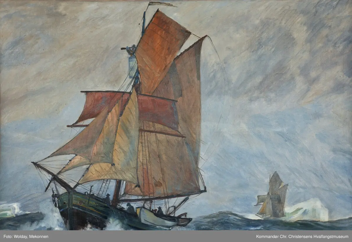 Bottlernosfangere ved Spitsbergen