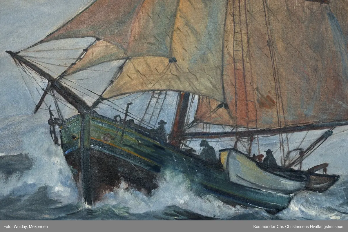 Bottlernosfangere ved Spitsbergen