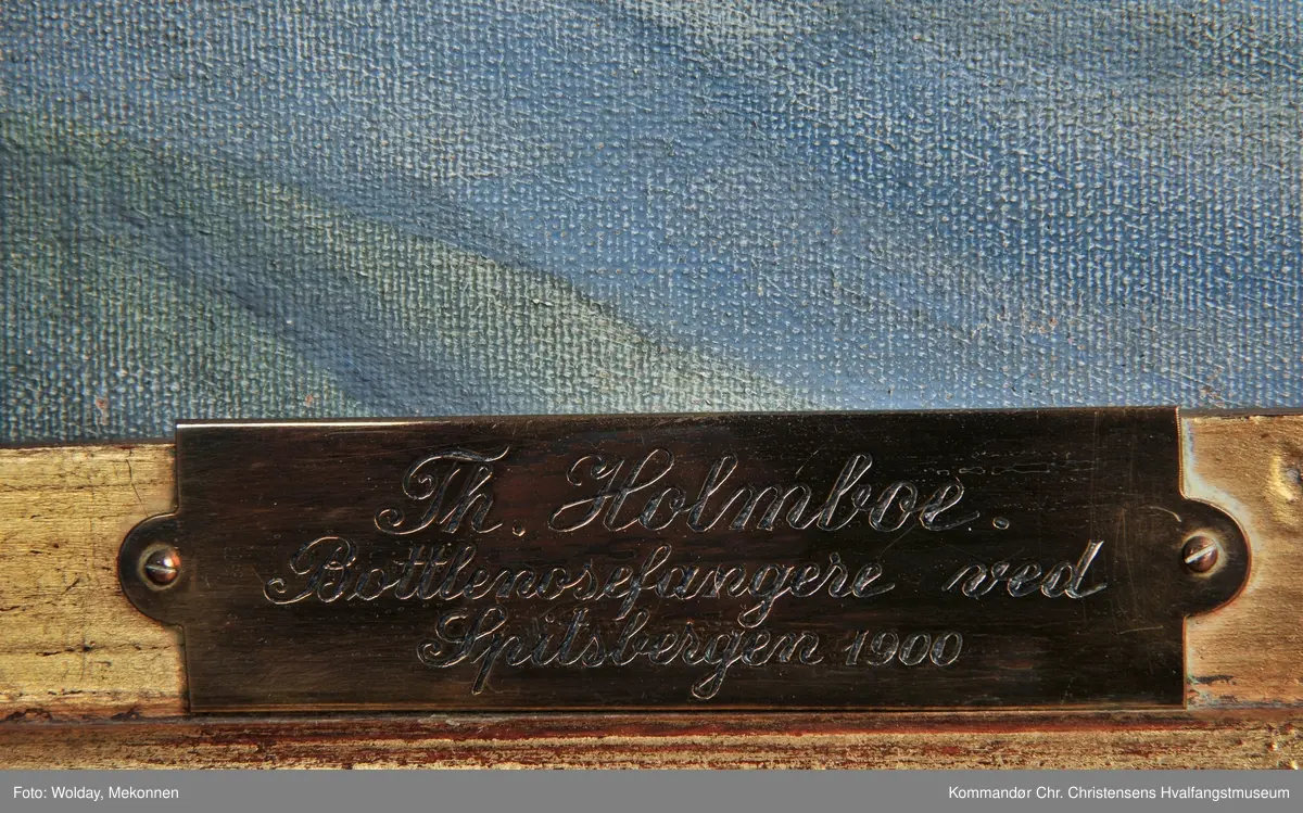 Bottlernosfangere ved Spitsbergen