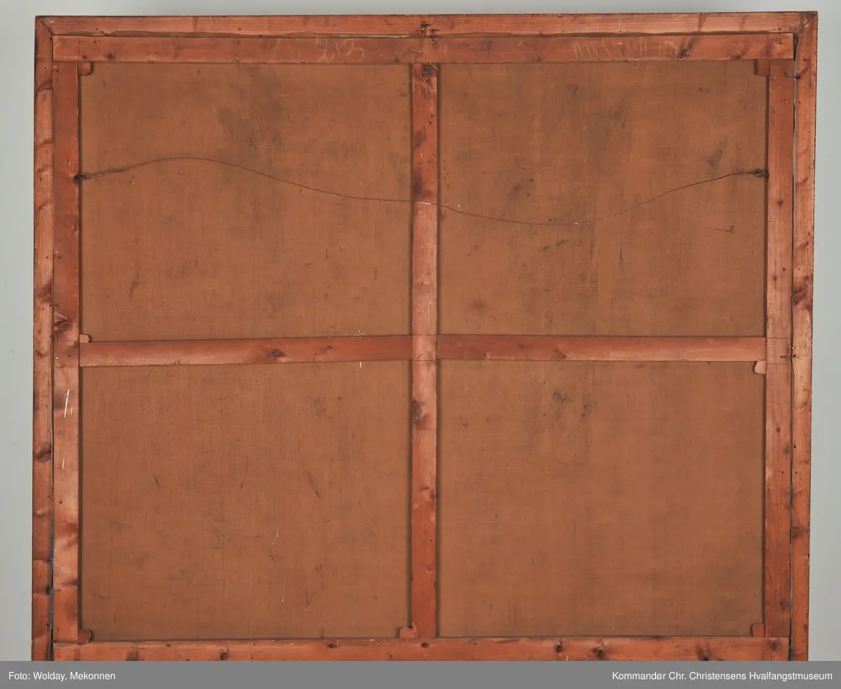 Bottlernosfangere ved Spitsbergen