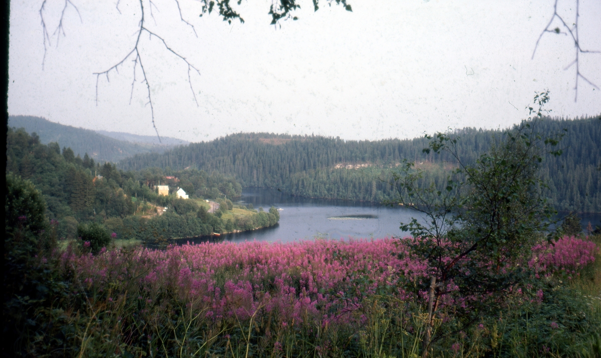 Jonsvannet