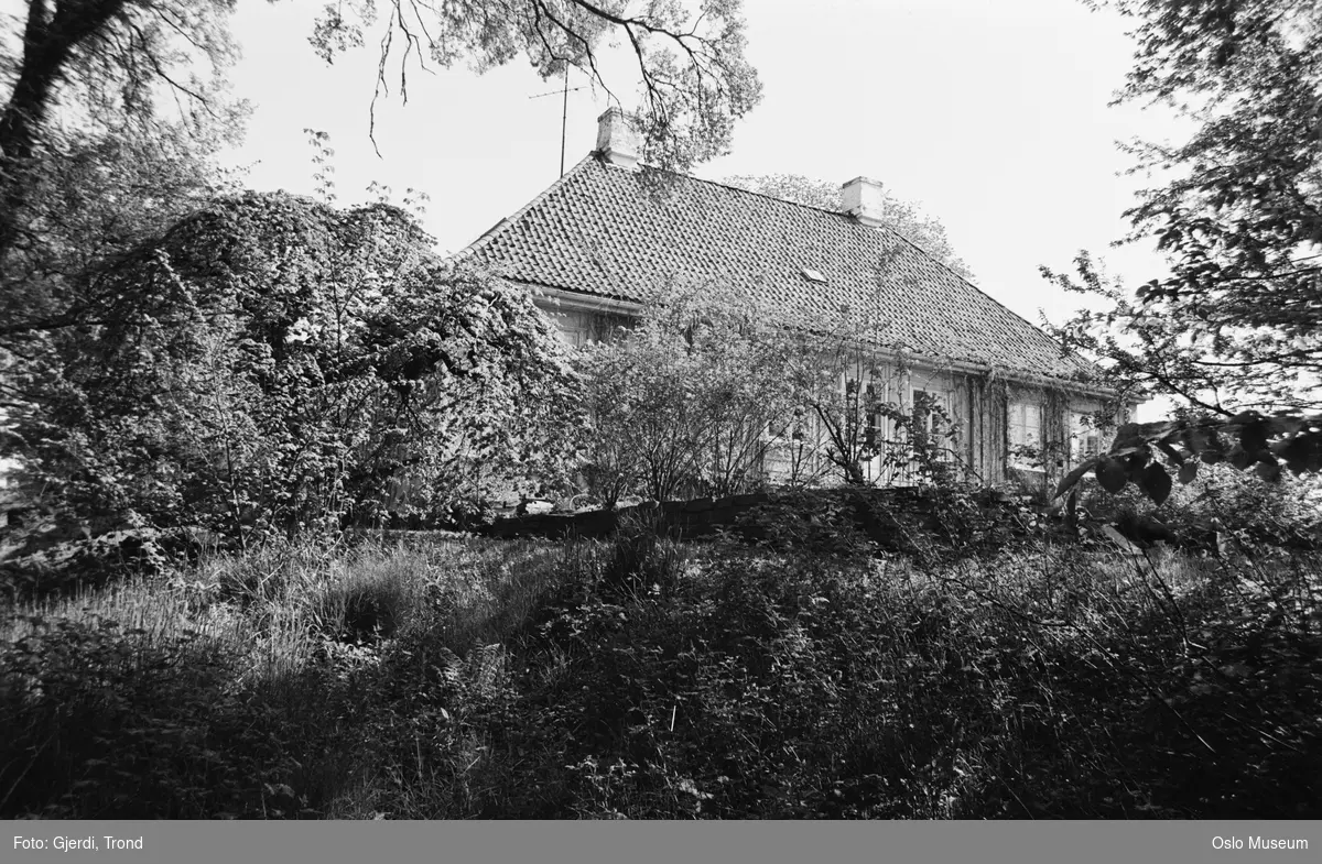 Lille Frøen gård, bolighus, hage