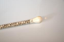 Spaserstokk av hairygg, med elfenben håndtak