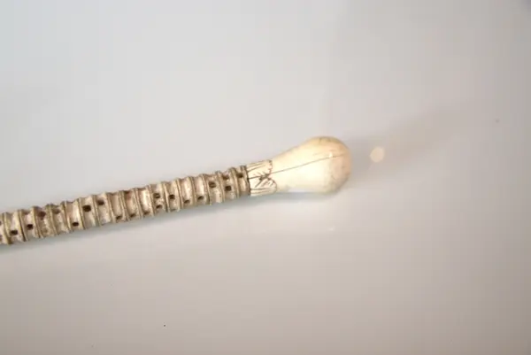 Spaserstokk av hairygg, med elfenben håndtak