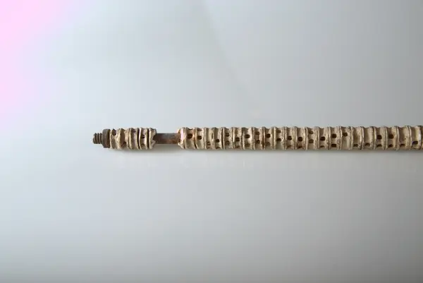 Spaserstokk av hairygg, med elfenben håndtak