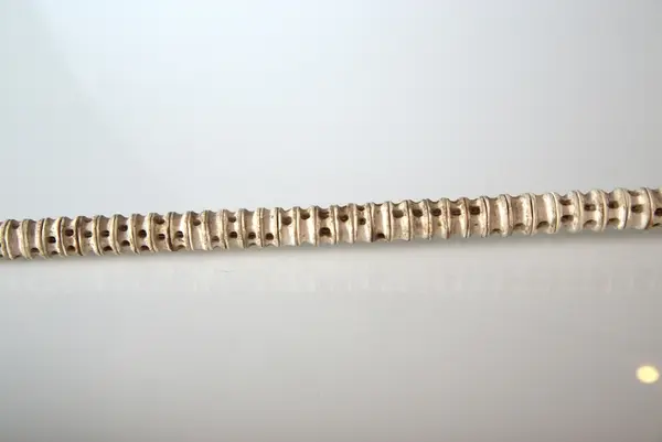 Spaserstokk av hairygg, med elfenben håndtak