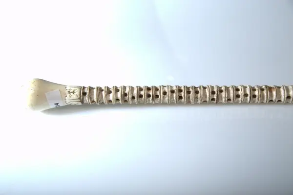 Spaserstokk av hairygg, med elfenben håndtak