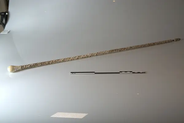 Spaserstokk av hairygg, med elfenben håndtak