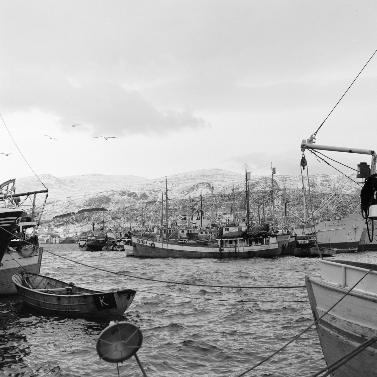 Sildefisket Ålesund