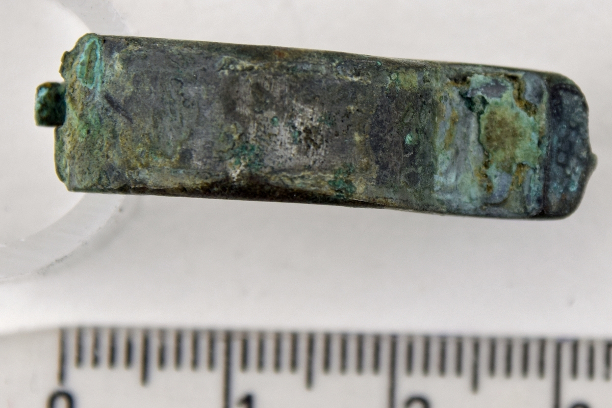 Fibula