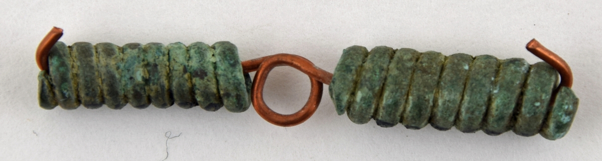 Fibula