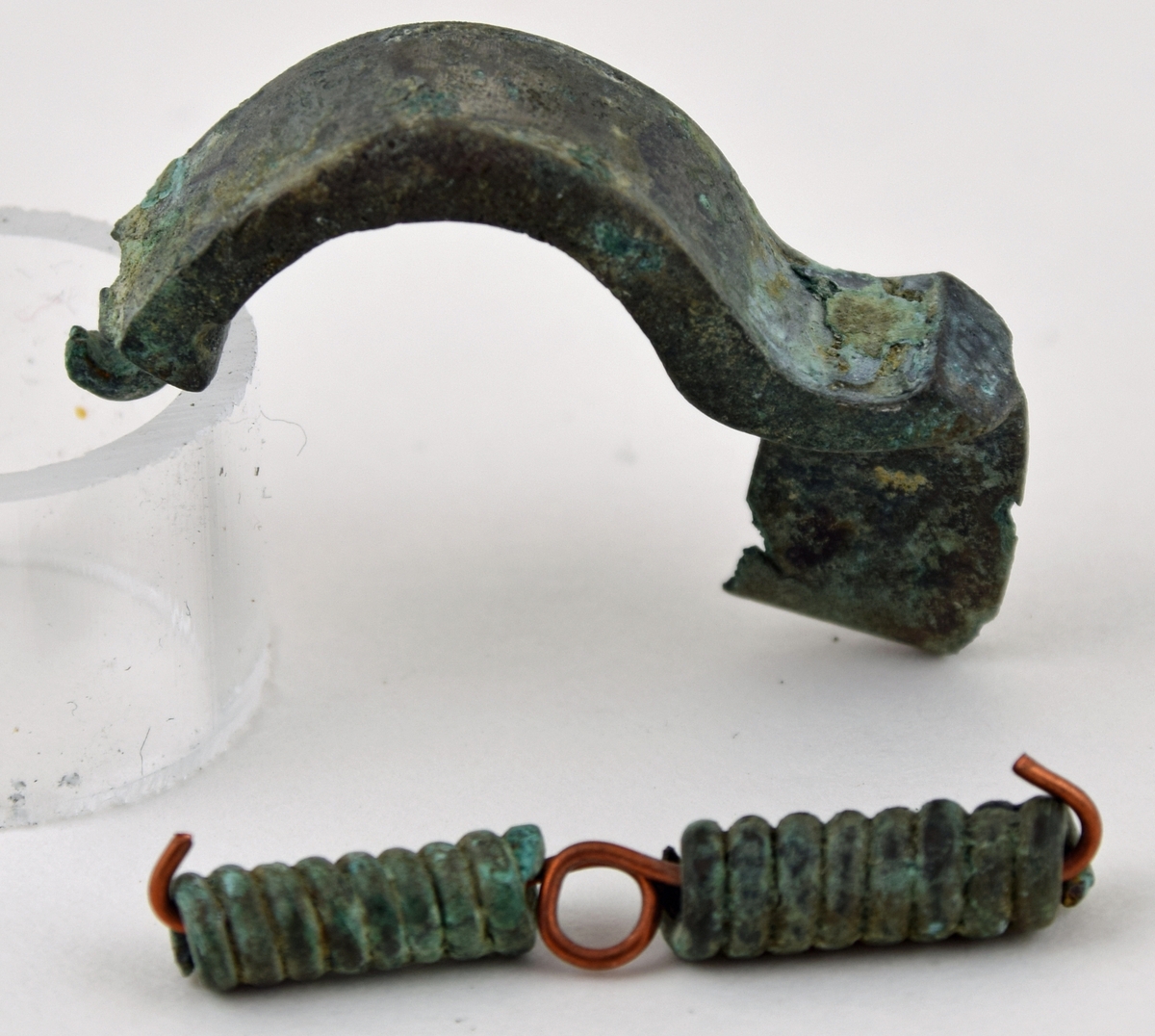 Fibula
