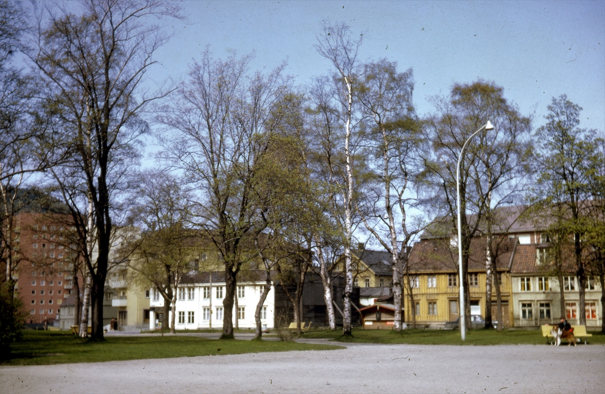 Bebyggelse på Ilevollen