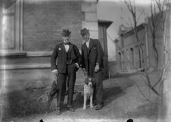 I hagen, Gyldenløves gate 43.