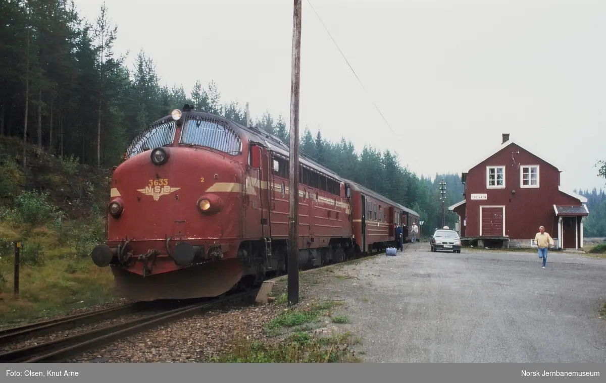 Diesellokomotiv Di 3 633 med persontog fra Fagernes til Oslo S, tog 282, på Trevatn stasjon