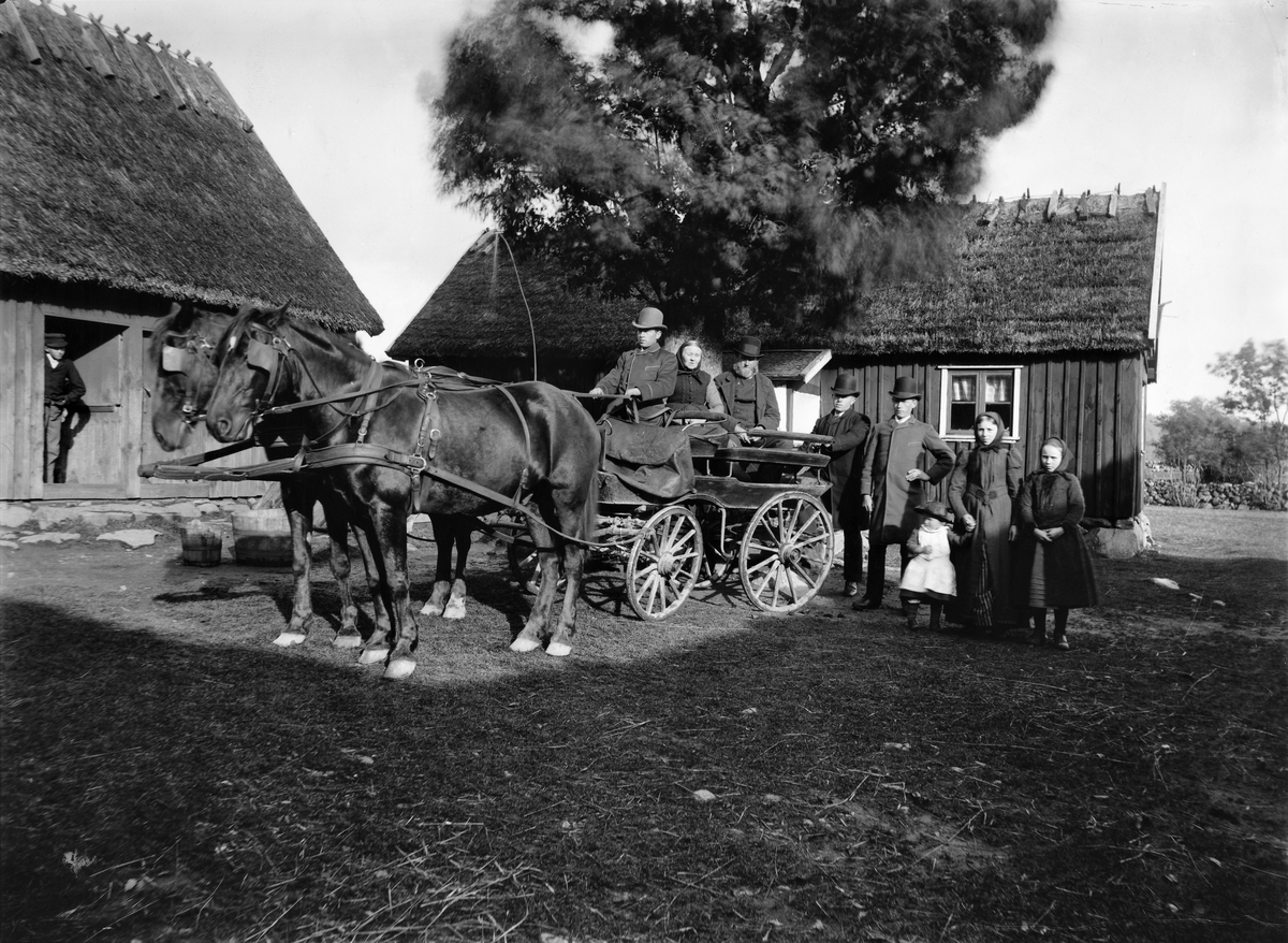 "Söndagsgästerna ger sig av ifrån Björsgård". Detta bedöms vara en av de tidigaste bilderna på Björsgård, som Nilson köpte 1885. Stugan är Severins barndomshem som han lät flytta från Sveaberg på Knobelsholms ägor. Här inrättade han en sommarateljé och gården beboddes av hans mor Neta Beata, storasyster Charlotta och hennes son Karl. Gården var kringbyggd av fyra huskroppar och man ser norra längan till vänster, medan södra och västra endast avtecknar sig som skuggor på bilden. 

Här ses en hästskjuts på gårdstunet med ett äldre par. Mannen vid tömmarna heter Anders Henriksson, Folkastad, Rävinge sn. Mannen i hög hatt bakom vagnen hör nog till det gästande sällskapet. Vårdträdet vajar i vinden.