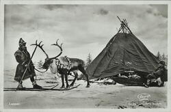 Postkort fra forfatteren Livja Flood (Liv Ingebjørg Olsen) t