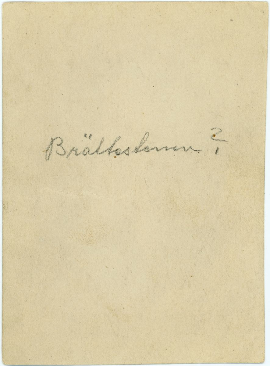 Brätte. Brättestenen