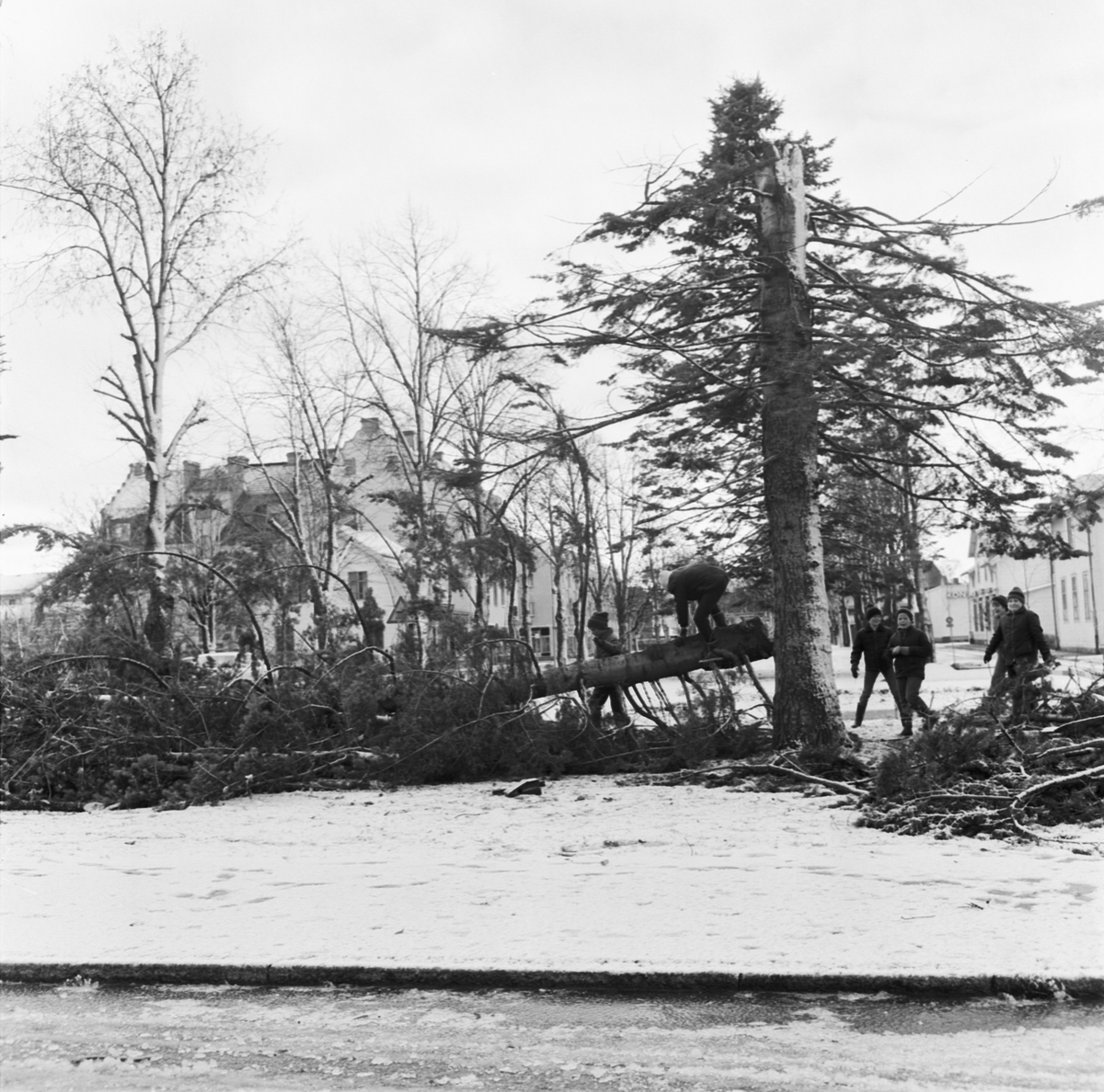 Storm över Norduppland 1969
