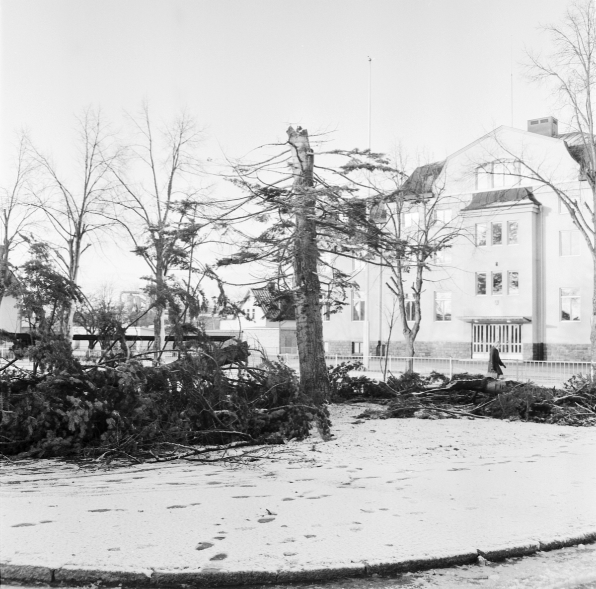 Storm över Norduppland 1969