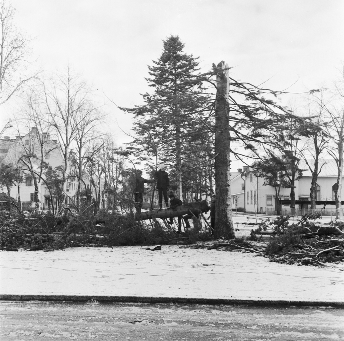 Storm över Norduppland 1969