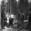 En man siter på huk framför ett nedsågat träd. Flera män står och tittar på. Det är skog i bakgrunden. Marken är snöklädd.