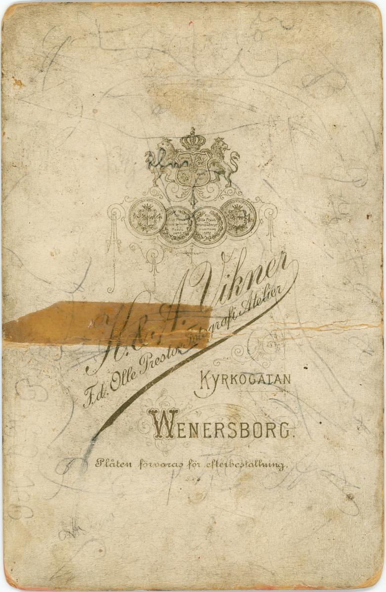 Vänersborg. Vintervy