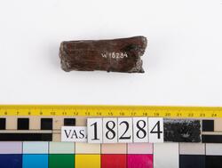 Packning för flera personer, ett slutet fynd från Vasa