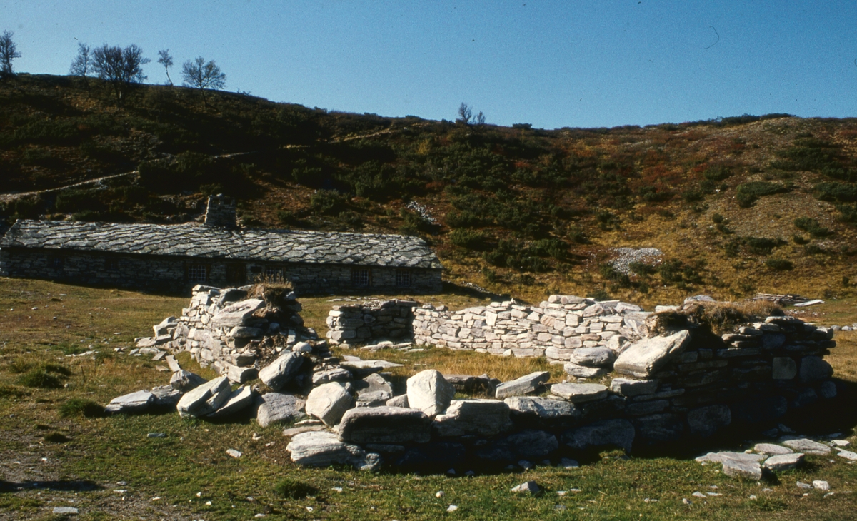 Rausjødalen 1976