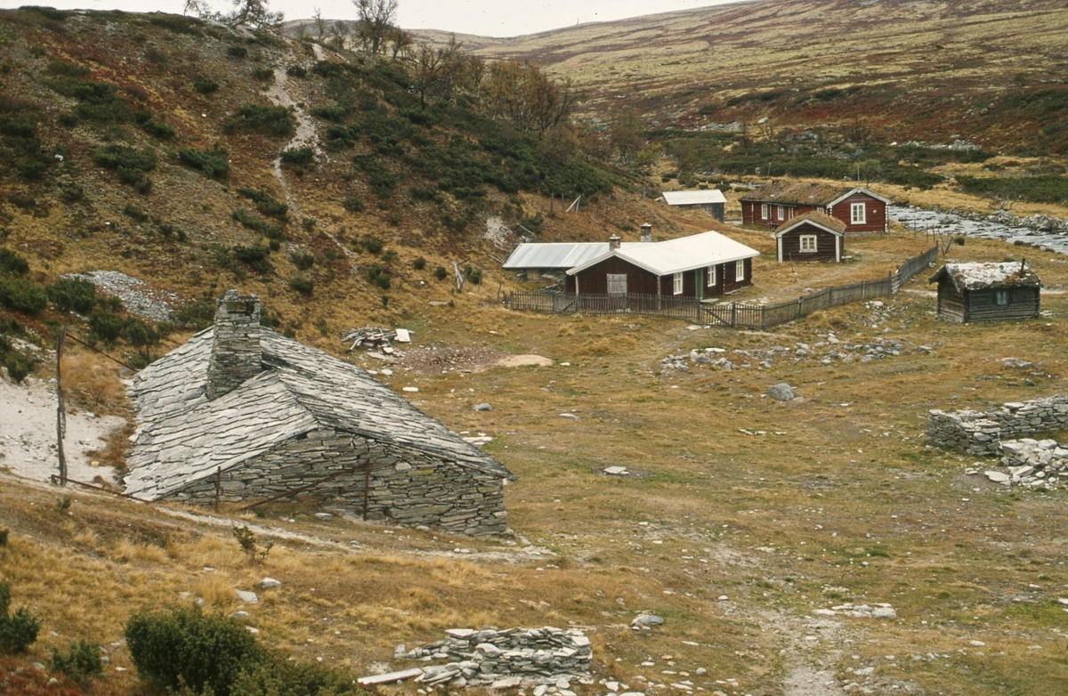 Rausjødalen 1976