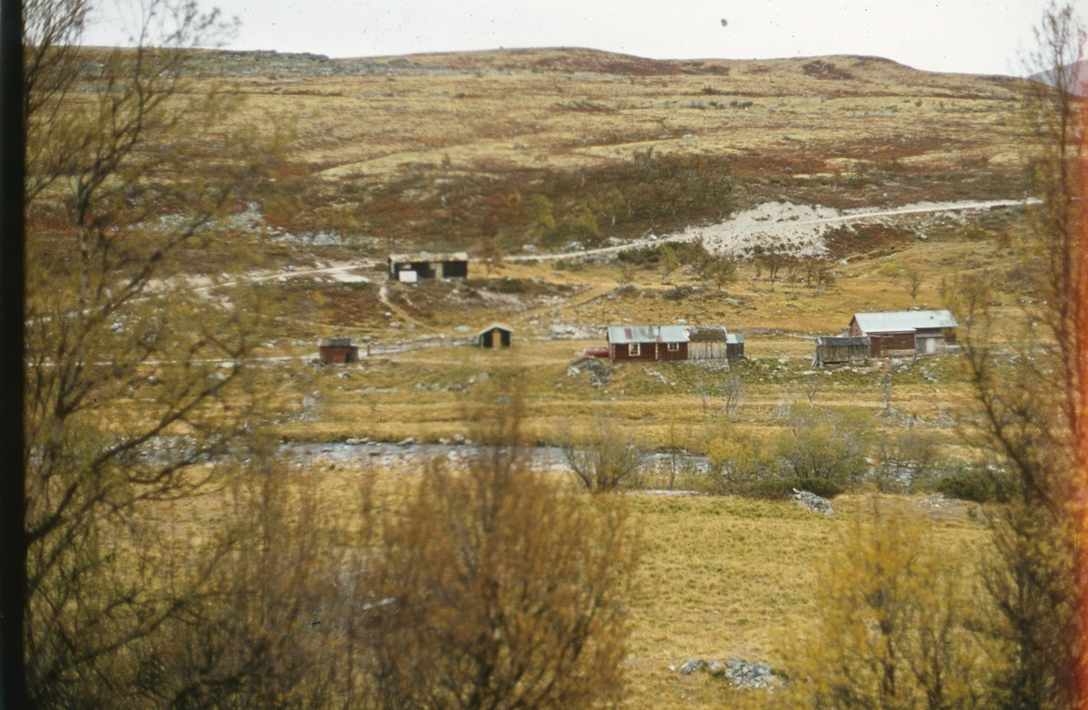 Rausjødalen 1976