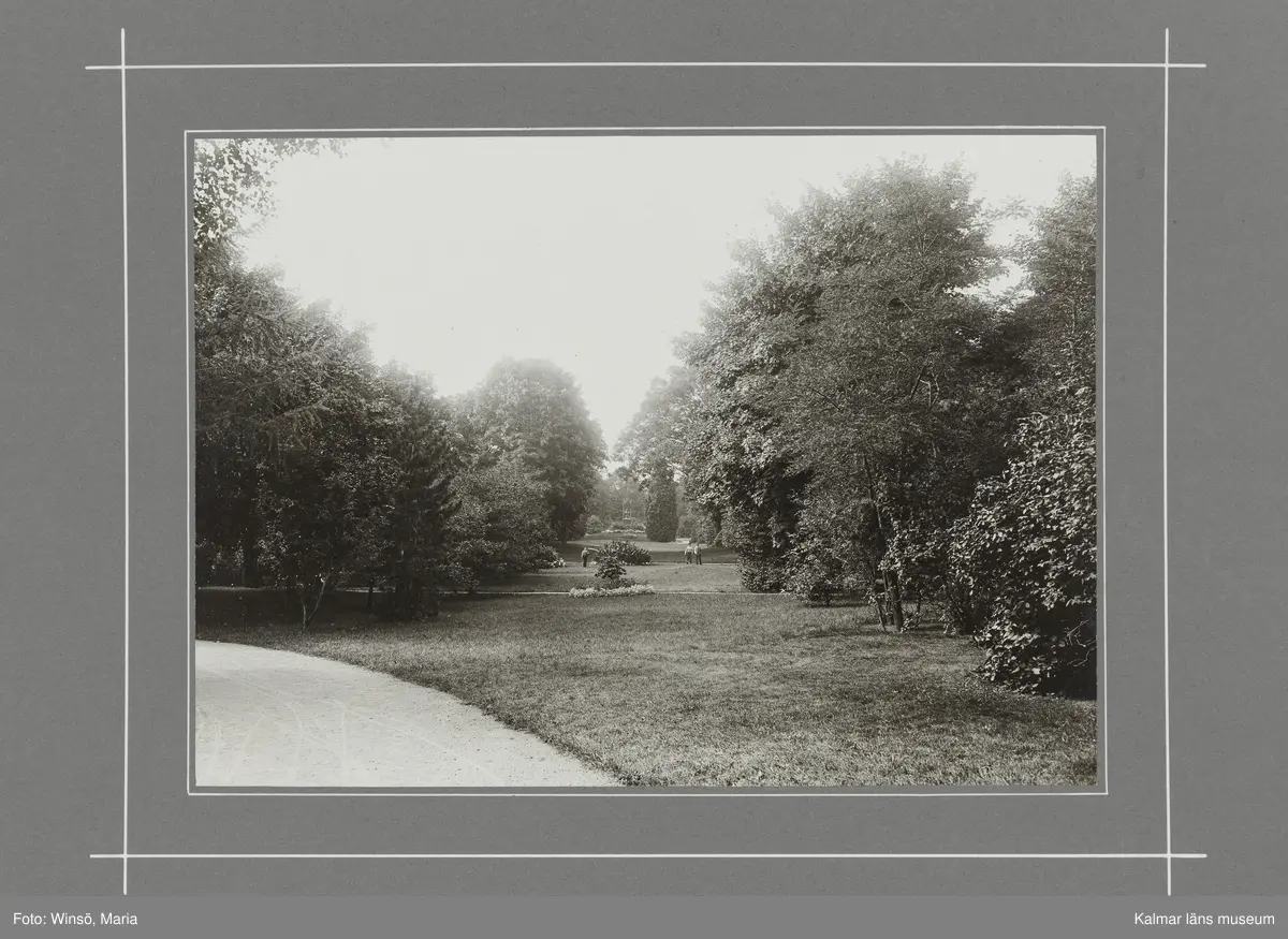 KLM 46490. Fotografi. Svartvitt fotografi föreställande Stadsparken, Kalmar.