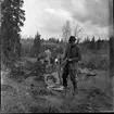 Några män står runt ett fällt träd. De befinner sig i ett kalhygge. En man står med ett verktyg i handen.