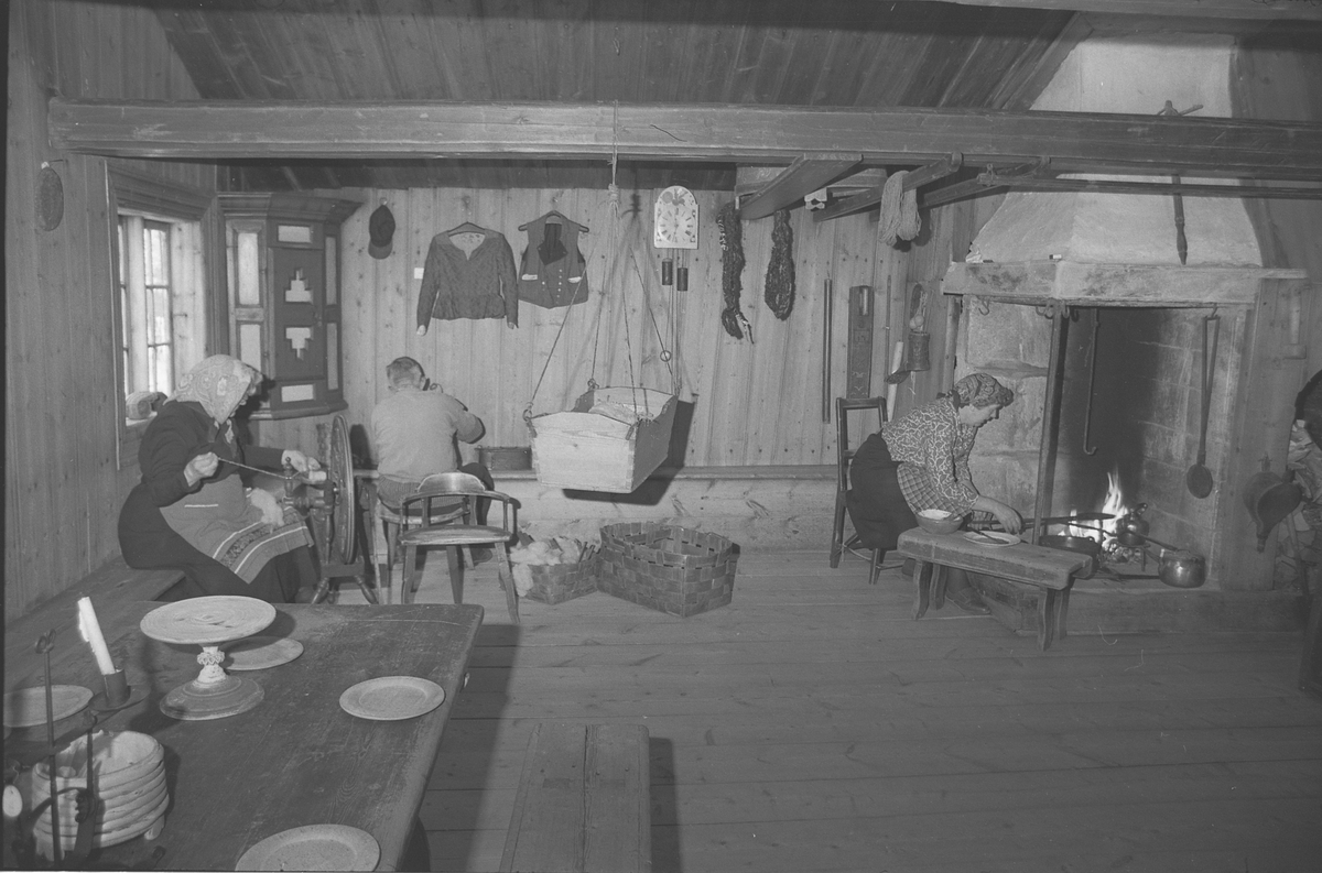 Rendalen, liv i stuene 1970