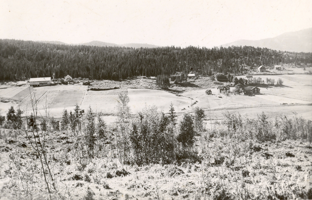 Øvre og nedre Stadskleiv og Solvang